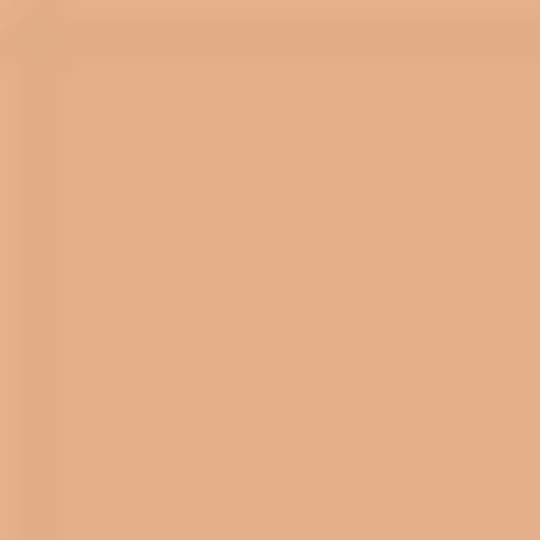 Terracotta - Le Teint
