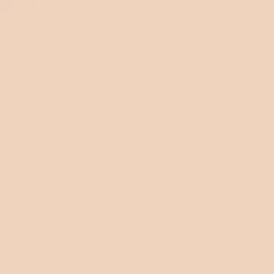 Terracotta - Le Teint