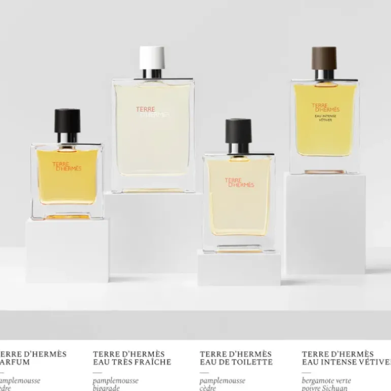 Terre D'Hermes Eau de Toilette