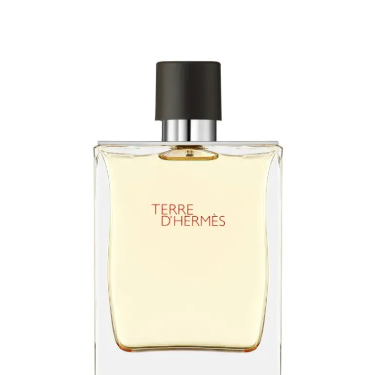 Terre D'Hermes Eau de Toilette