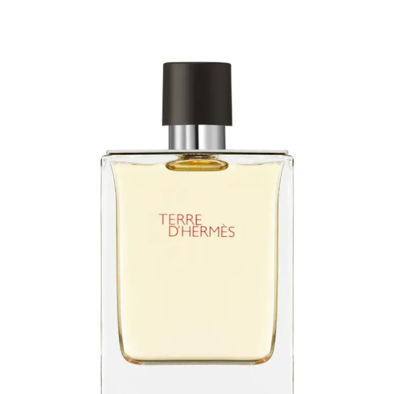 Terre D'Hermes Eau de Toilette