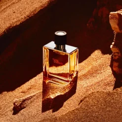 Terre D'Hermes Parfum