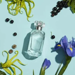 Tiffany Sheer