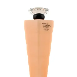 Trésor