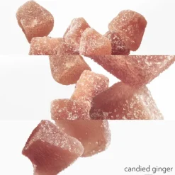 Twilly d'Hermes Eau Ginger