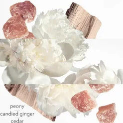 Twilly d'Hermes Eau Ginger