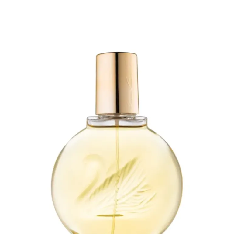 Vanderbilt 100 ML