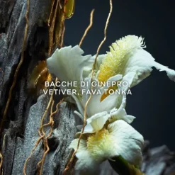 Vetiver de Guerlain Parfum