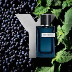 Y Men EDP Intense