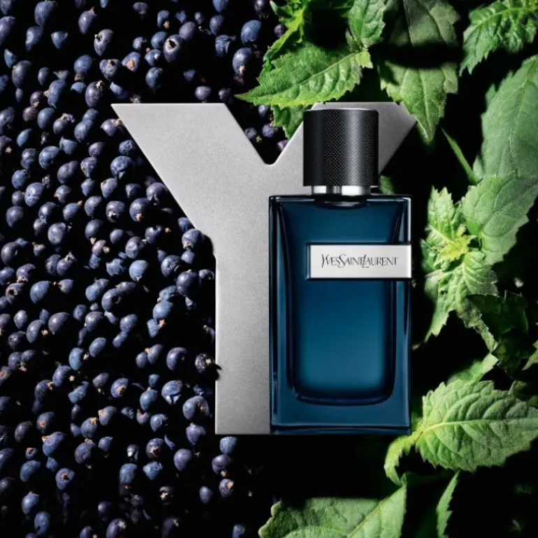 Y Men EDP Intense