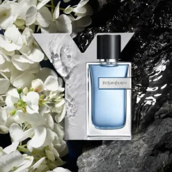 Y Men EDT New