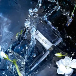 Y Men EDT New